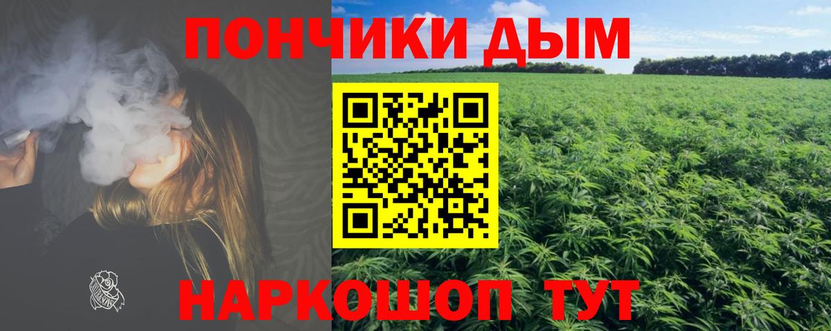 Шишки марихуана план  Канабис VHQ  Бошки марихуана THC 21%  Вход с VPN  Волгоград 